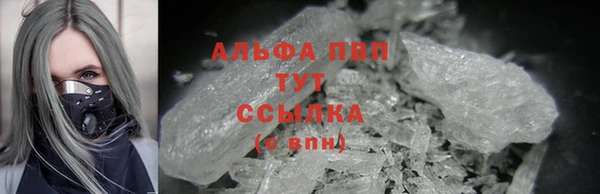 метадон Алексин