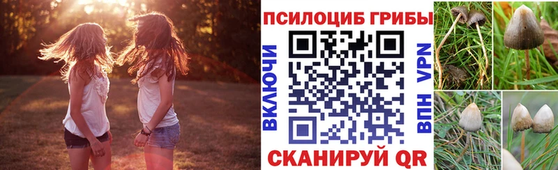 Псилоцибиновые грибы мухоморы  купить  цена  Ардатов 